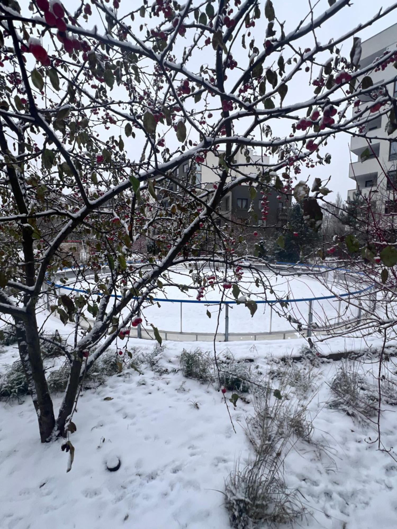 Apartamento Lake Park Apartament With Free Parking Airport Netflix Varsovia Exterior foto