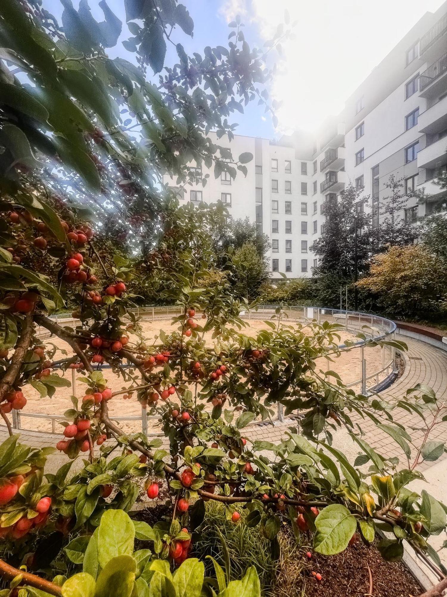 Apartamento Lake Park Apartament With Free Parking Airport Netflix Varsovia Exterior foto